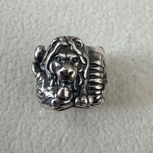 Pandora African Safari Silver Textured charm